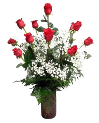 A classic dozen red roses, Anniversary