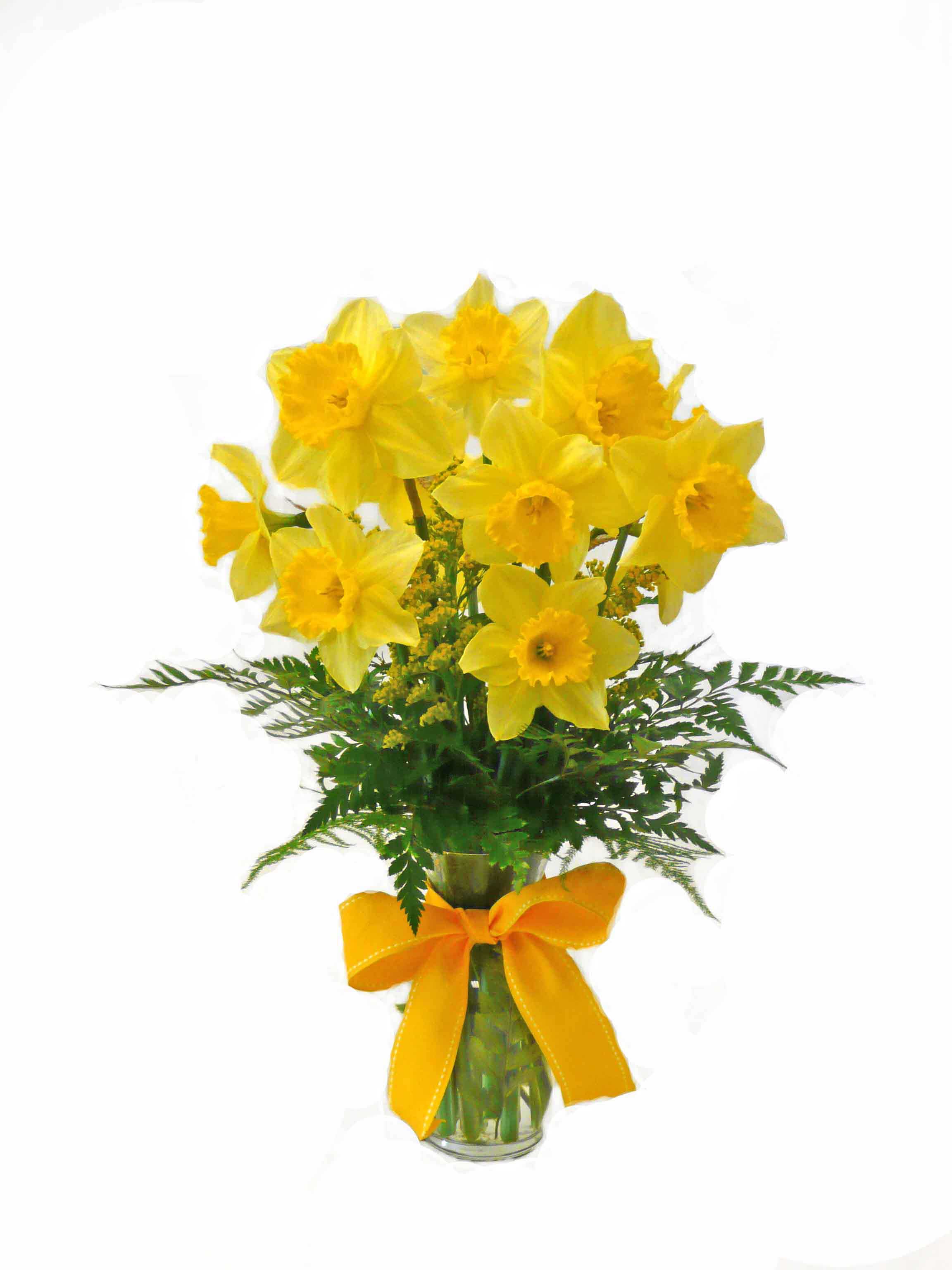 Daffodil Flower Arra