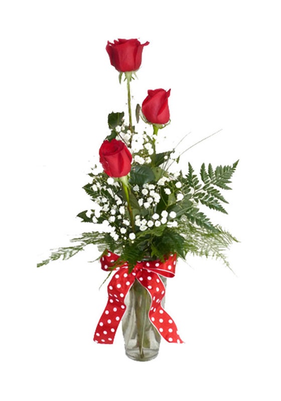 The Ever Classic Red Rose Bud Vase Has Three Buds And A Red Ribbon