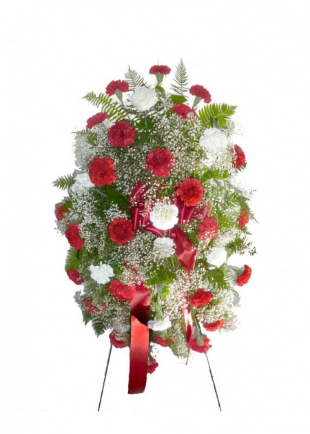 Red and White Carnation Easel Spray