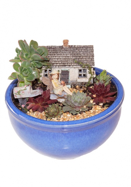 Anna's Heavenly Succulent Fairy Garden