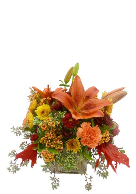 Autumn Assortment of Flowers