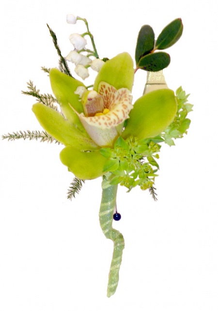 Green Cymbidium Orchid Boutonniere