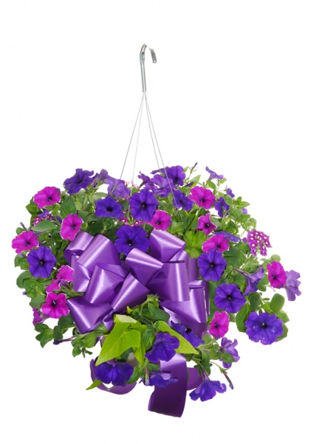 Hanging Summer Basket