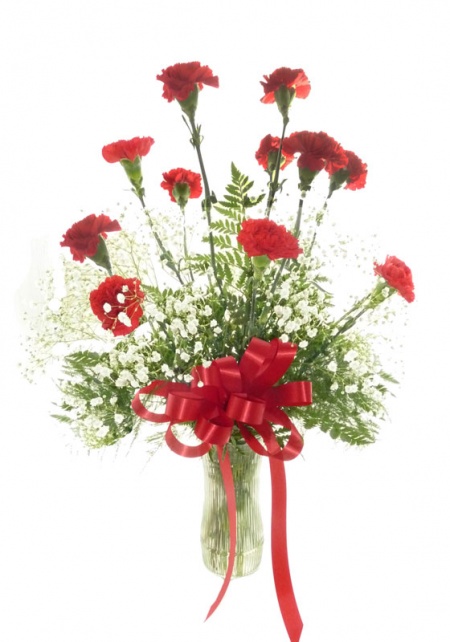 One Dozen Red Carnations