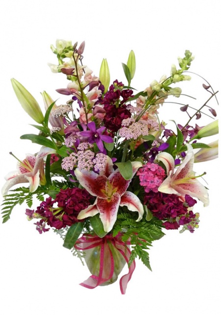 Orchid Romance