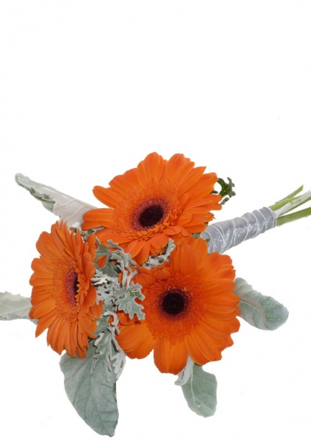 Rustic Gerbera Bridesmaids Bouquet