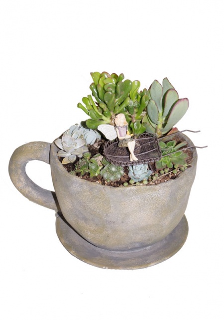 Fairy Tea Cup Succulent Garden