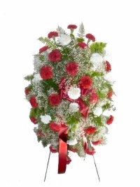 Red and White Carnation Easel Spray