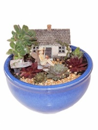 Anna's Heavenly Succulent Fairy Garden