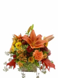 Autumn Assortment of Flowers