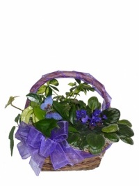 Blue Butterfly Planter Basket