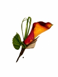 Calla Lily Boutonniere