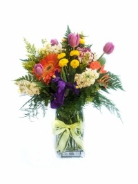 Citrus Spring Flowers