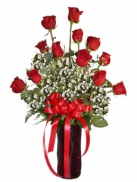 A Classic Dozen Red Roses