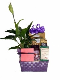 Deluxe House Warming Gift Basket