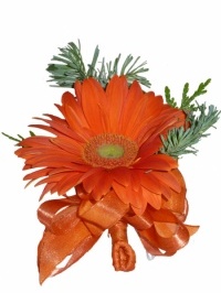 Gerbera And Evergreen Delight