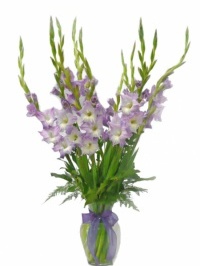 Gladiola Vase Arrangement