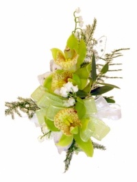 Green Cymbidium Orchid Corsage