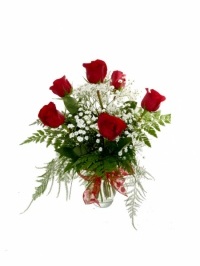 Half Dozen Short Red Roses