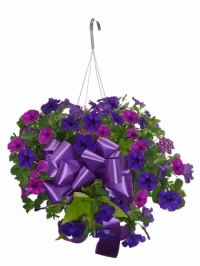 Hanging Outdoor Summer Basket