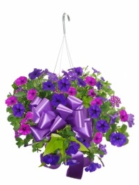 Hanging Summer Basket