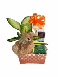 Home Warming Comfort Gift Basket