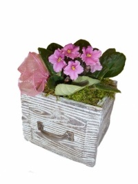 In Appreciation Planter