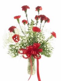 One Dozen Red Carnations