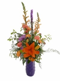 Purple Garden Glory
