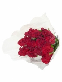 Rose Specials Red
