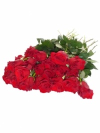 Roses Red 60cm