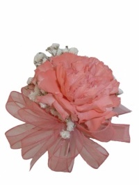 Salmon Carnation Corsage