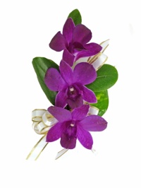Simply Orchid Corsage