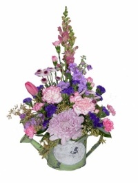 Sprinkles of Blooms