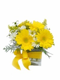 Sunny Sentiments Gerbera Daisy Arrangement