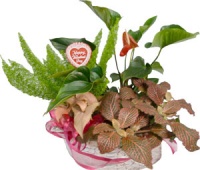 Valentine European Planter Basket