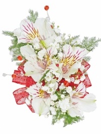 Watermelon And White Alstromeria Corsage