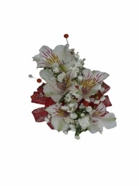 White Alstromeria Corsage