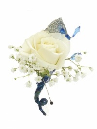 White Rose Boutonniere Blue Trim