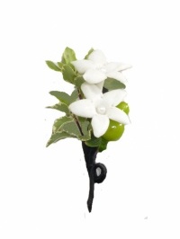White Stephanotis Flower Boutonniere 